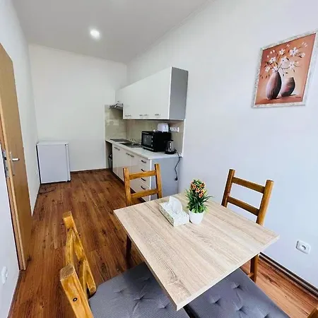 Erika Apartment Karlovy Vary